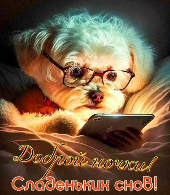 ������ ���� ������ �����! ���������� �����, ������, �� ��������� ������ ������