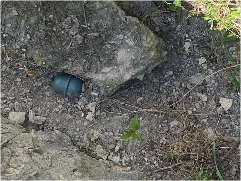 � ���� ������������ ���������� ������� ����������� ���������� ������� � ������� � �������������� ������