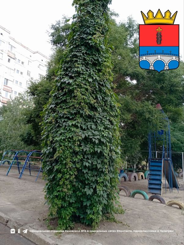 ������ ����, �������!. @VGA_Kakhovka