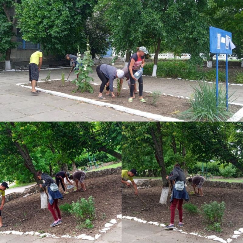 ���������� ��������� - ������ ������ ������ ��������