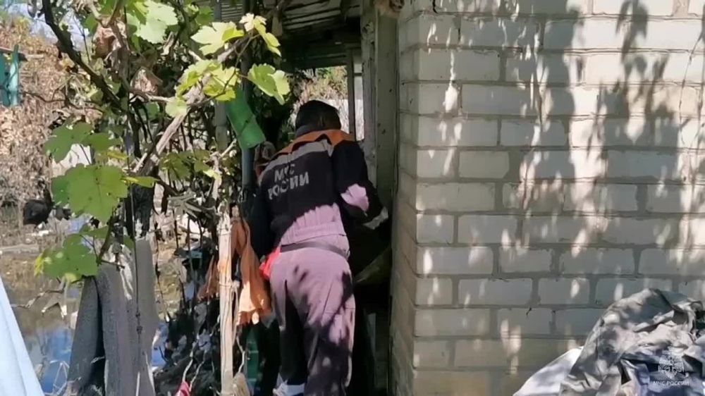 ��� ������: 1 663 ��������� � ����������� 363 ������ ������� ���������� ������ � ���������� �������