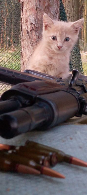 ���� �� ������ �����. ����� ����� ��������.. �� ���������� �����: