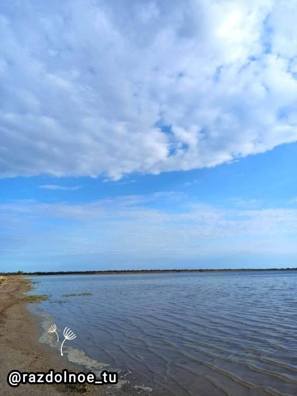 � ������ �����, ����������!