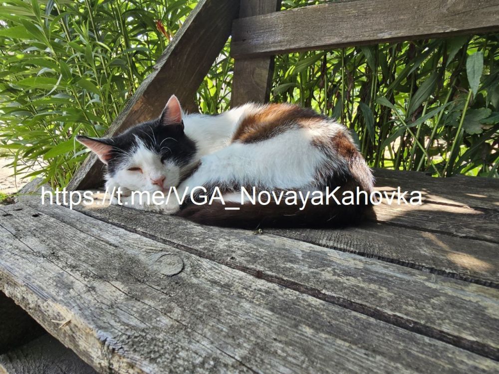 � ������������ �������� ������������� ��� ���������� ������� ���������� � �������� ������ � ������������ ������ ��� ������� ��������, ������� ��� �������� � ����� ������� ����