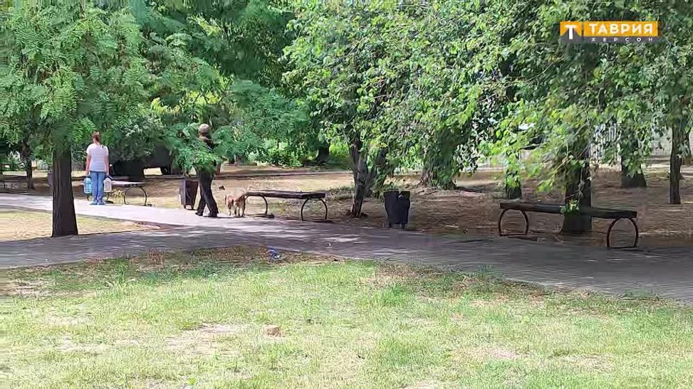 ������������� ������ ������ ���������� ��������������� �������������� � ������������ ��� ���������� ���