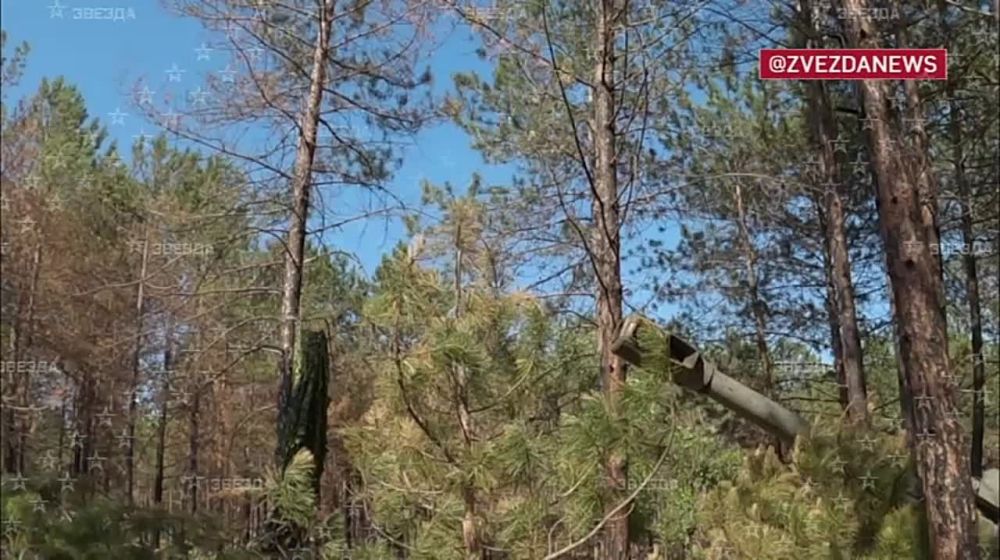 ������� ���� ����������� � �����������: ������ 152-�� ������ �� ���������� �����������