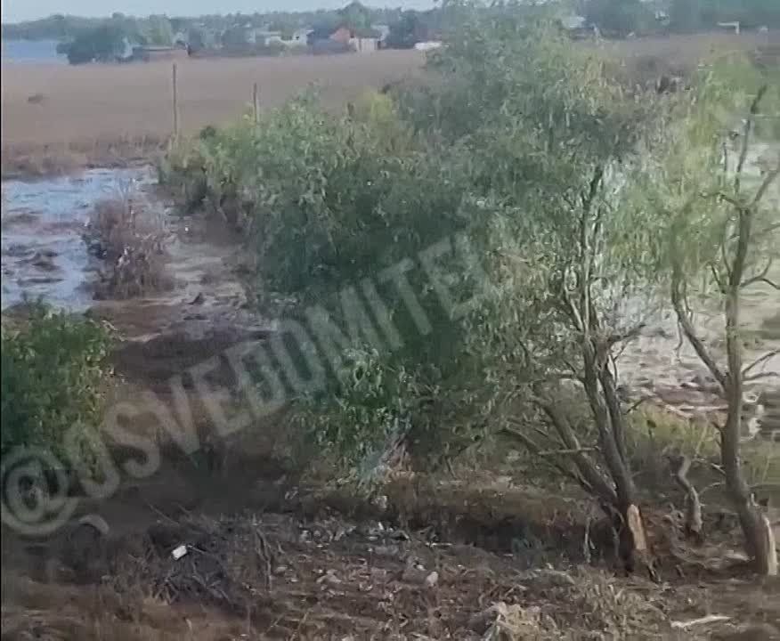 ������� ����� � ������������ ����� ������� ���� ����