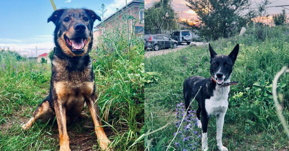 ������ �� ������� ������� ����� ����� �� �������� ������