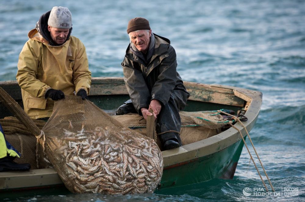 Эколог рассказал о влиянии наводнения на Черное море