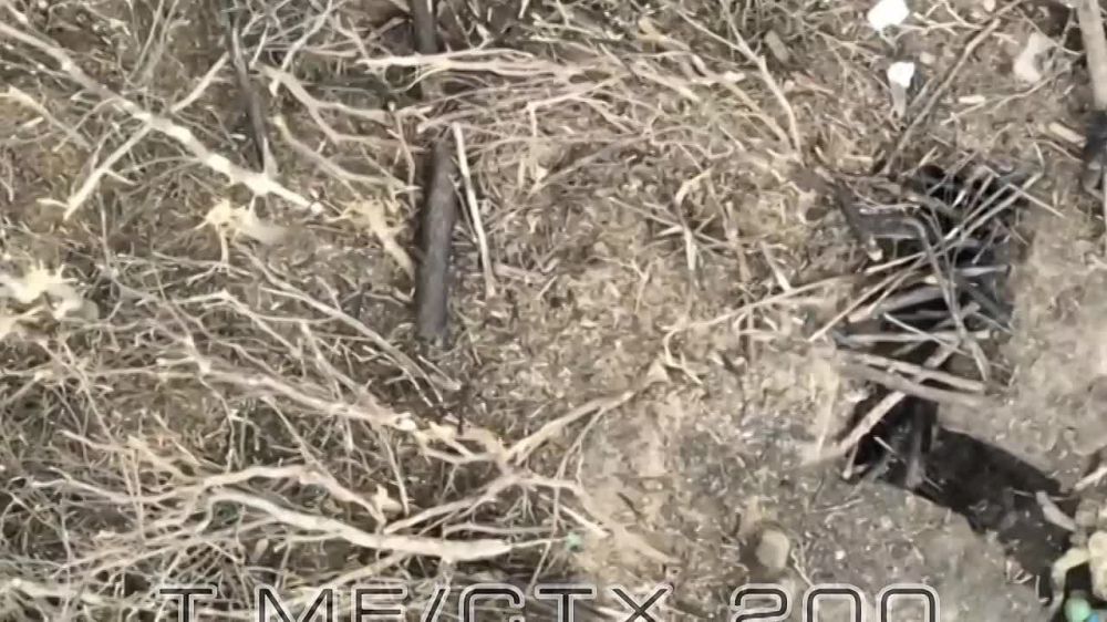 �� ����������� ������ ���� ���������� ������ �������� ���, 1 ���� � ����