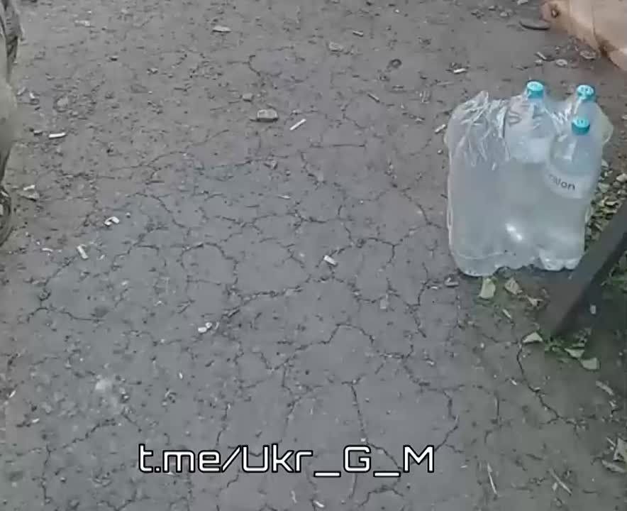 �� ����������� ����������� ����� 33-� ���������������� ������� ��� ������������ ��������� ������ ������, ����������� ������, ��� ������������ �������� �� �� ����, � ��� ��� ����� �������� ������ ���������