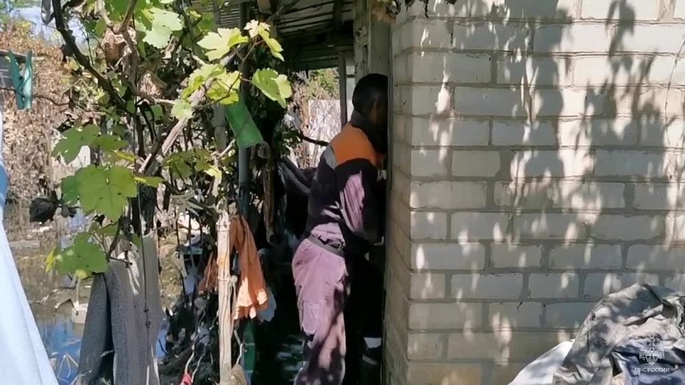 �������� ������: ���������� ������� ������������� ����������� ������������ ��������, ��������� ����������� �������� ������� ��������� ���