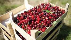 ������� ���������� ��� ������ ���������� ���������� ������� � �������� �������� ������