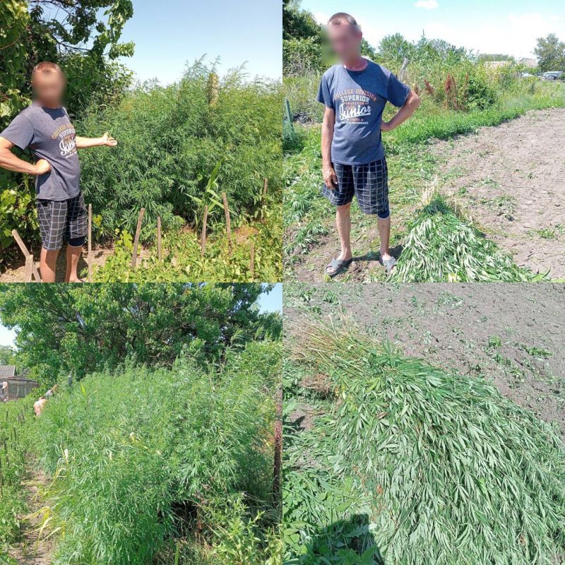 � ������ ���� ������� ������ ������ 200 ������ �������