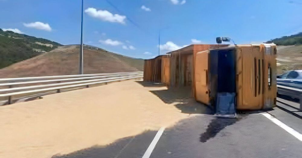 �������� � ������ ������������ � �����