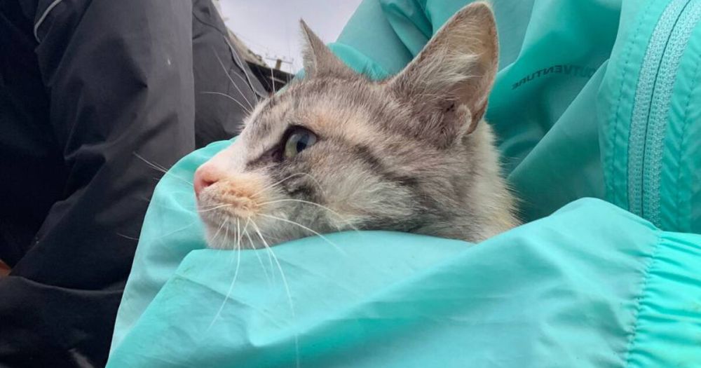 �������� ����� �������� � ������ ����� �������� ���� �������� ��������� ��������