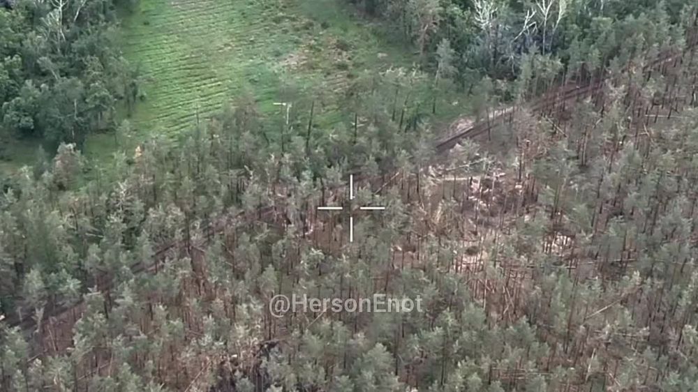 ���� �� �������: ���������� ������ ��� ������� ���������� ���. � ������� ���������� ���������� �� ���� ����� � ����� ����������