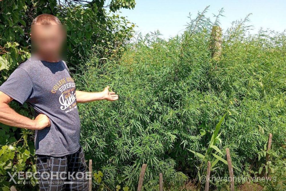 ��������, �����, �������: � ������ ���� � ���������� ������� ������ 200 ������ ���������