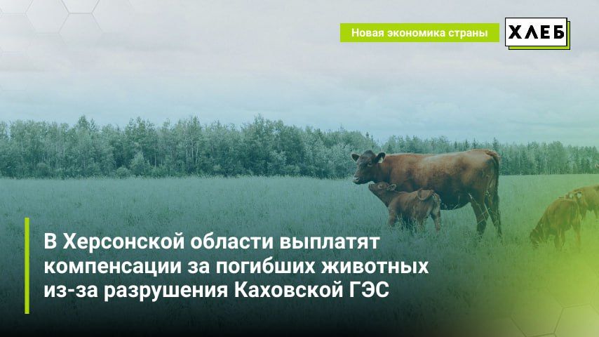 � ���������� ������� �������� ����������� �� �������� �������� ��-�� ���������� ��������� ���