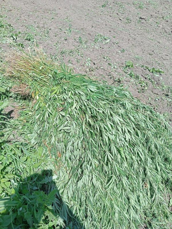 � ���������� ������� ����������� ������ 200 ������ ������� � �������� ������� ������ ���� ������� ������