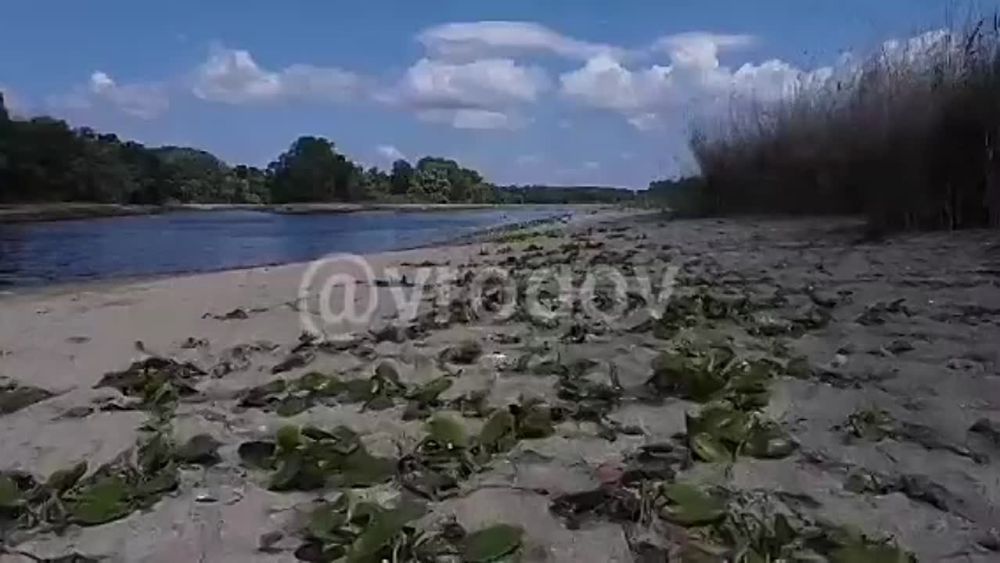 �������� �����: ���������������� ����������� ��������� ����������� ������� � ������ ������� ������� � ���������