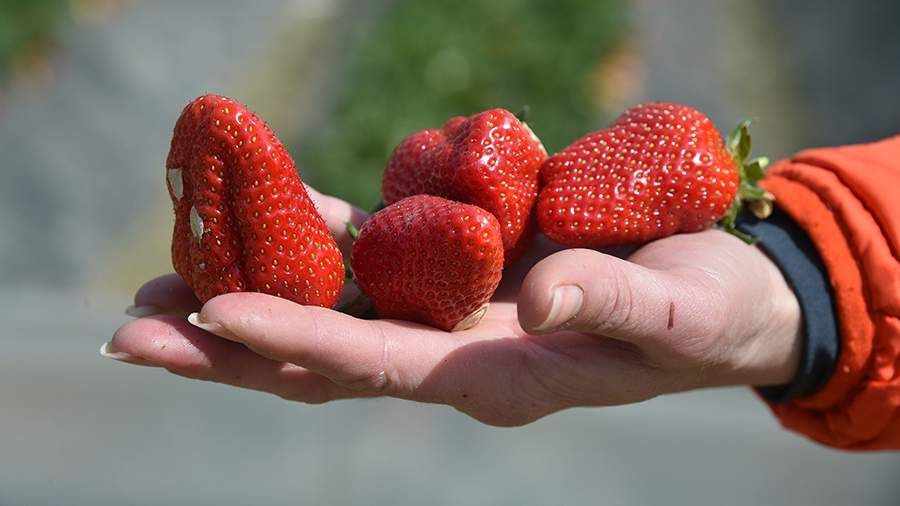 � �������� ��������� �������� �� ���������� � ����������� ��������