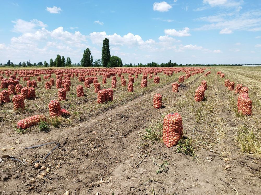 �� ����� ��������������������� �������������� ���������� ������ �������� ������ ����