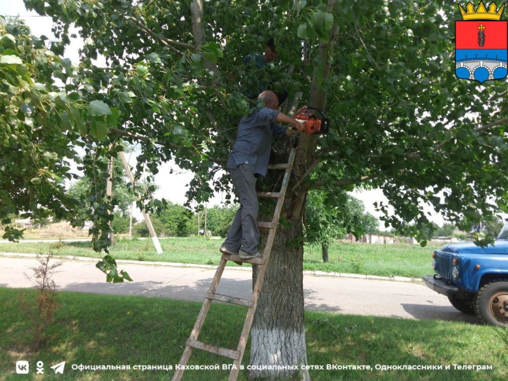 ���� ��� ���������� ����� � ������