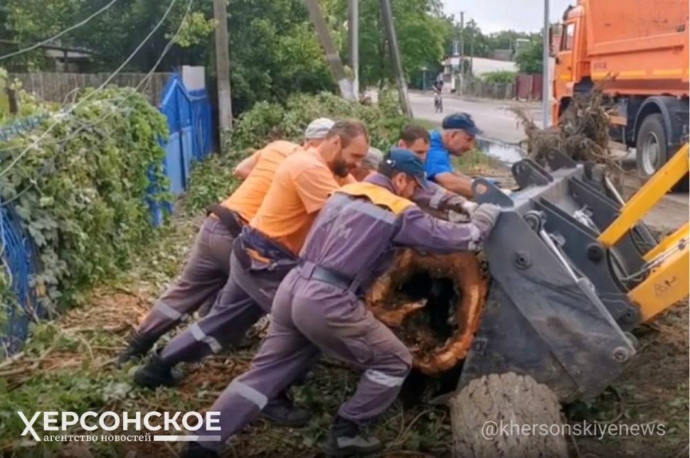 �� ���� ������������ 64,6% ����������� ����� ������� �� ��� ����� ����������