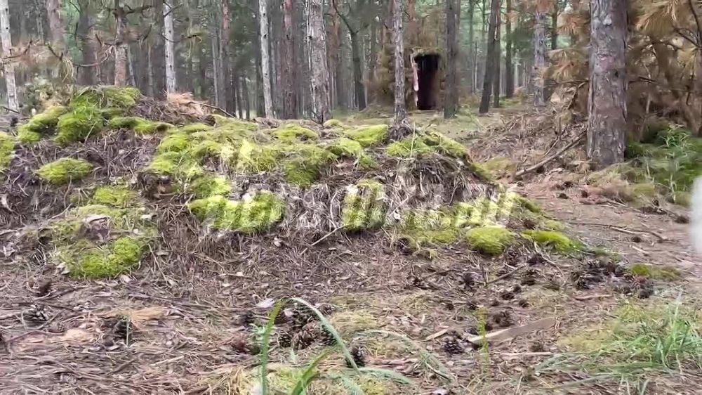 ������� ����� ������� � ����������� �� ����������� ���������� � �� ����� �� ������ ����� �������� �������������� ���������.��