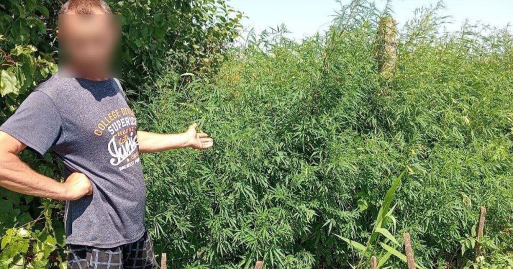 ����������� ������ 200 ������ ������� � ���� ������� ������