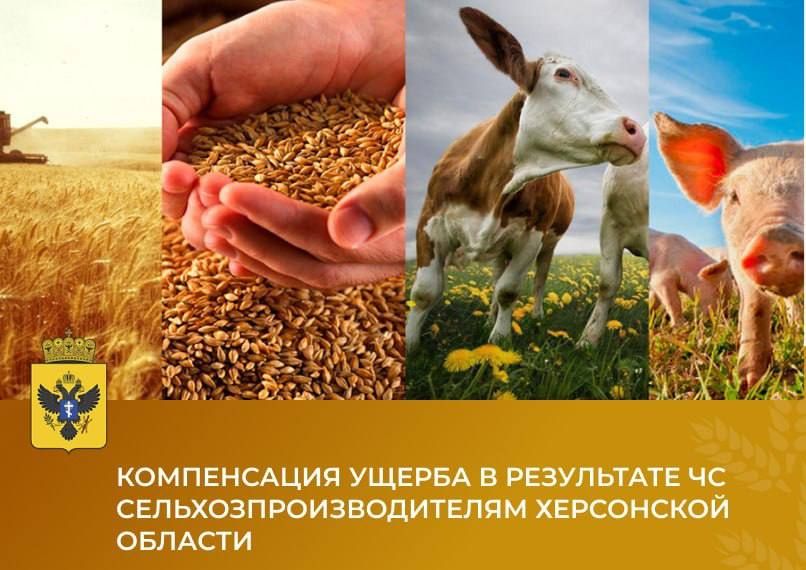 ����������� ������ � ���������� ��