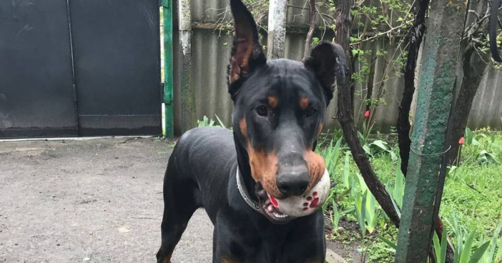 ��������� �� ������ ���� �������� ����� ����������