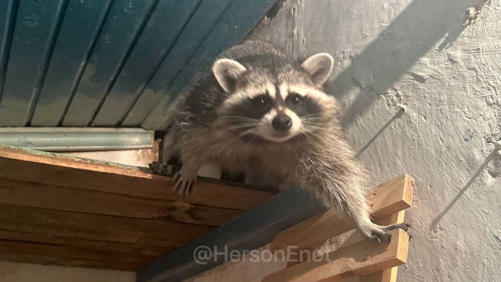 ���� �� �������: ���� ������ ����, ������� ������ � �������� ����������