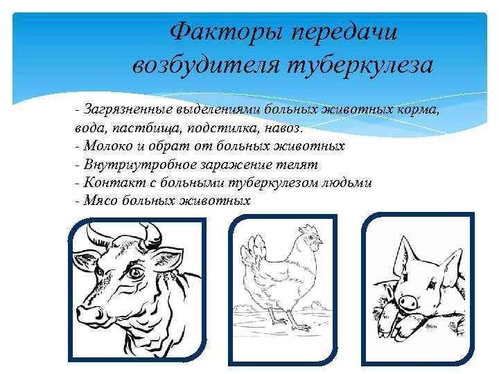 ��������� �������������� �����������