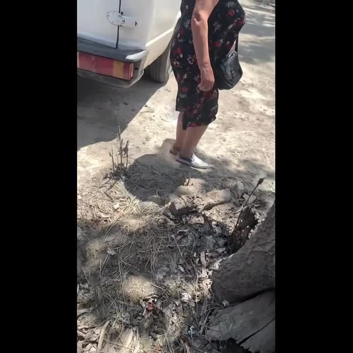 ������ � ������ � ���������� ������������� � ��������� ������ � ������ � �������� ���������� ���������