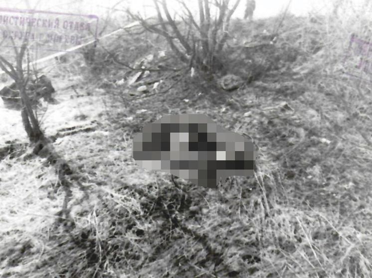 �������� ����� �������� ��������, ����� ��������� ����� ����������