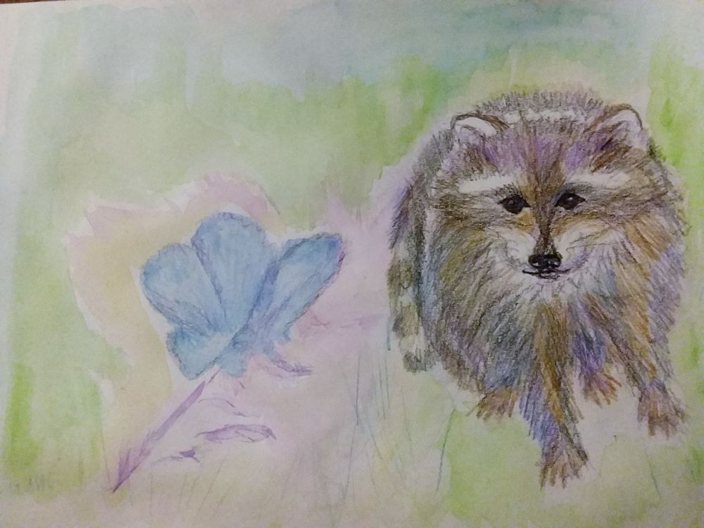 ���� �� �������: ����� � ��� �� ���� ����� ����������� ��������