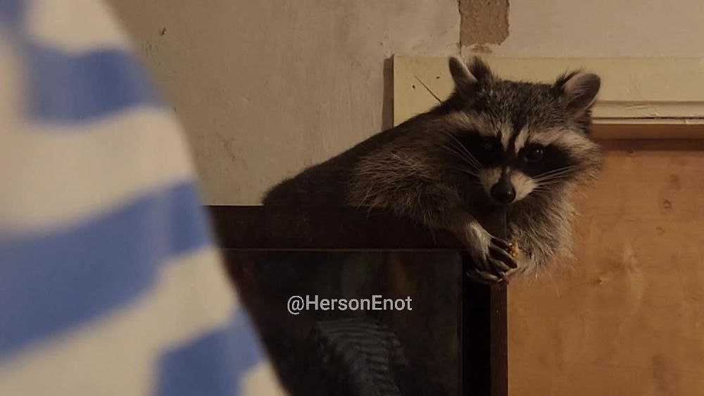 ���� �� �������: ������, ���� �����!. ����� ���� ������� �� ������ � ���� ������� ���� ��������� � ���� �������������. � � ���� ����������� �������� �������� � ���������� (���) �� �� ������ �������� ��� @HersonEnot