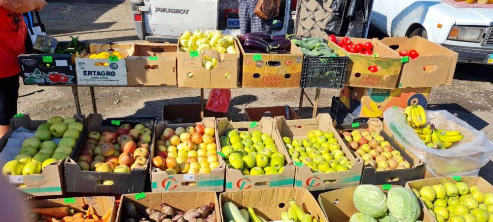 �������������������� ������� ������ � ���� �������