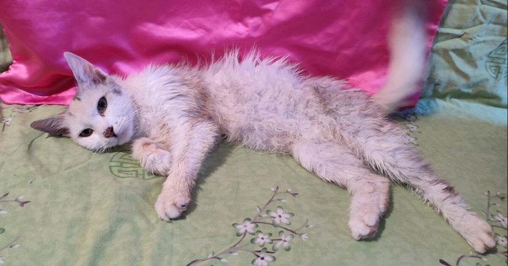 ����� ����� ������� �� ����� �������� �������������� � ����������