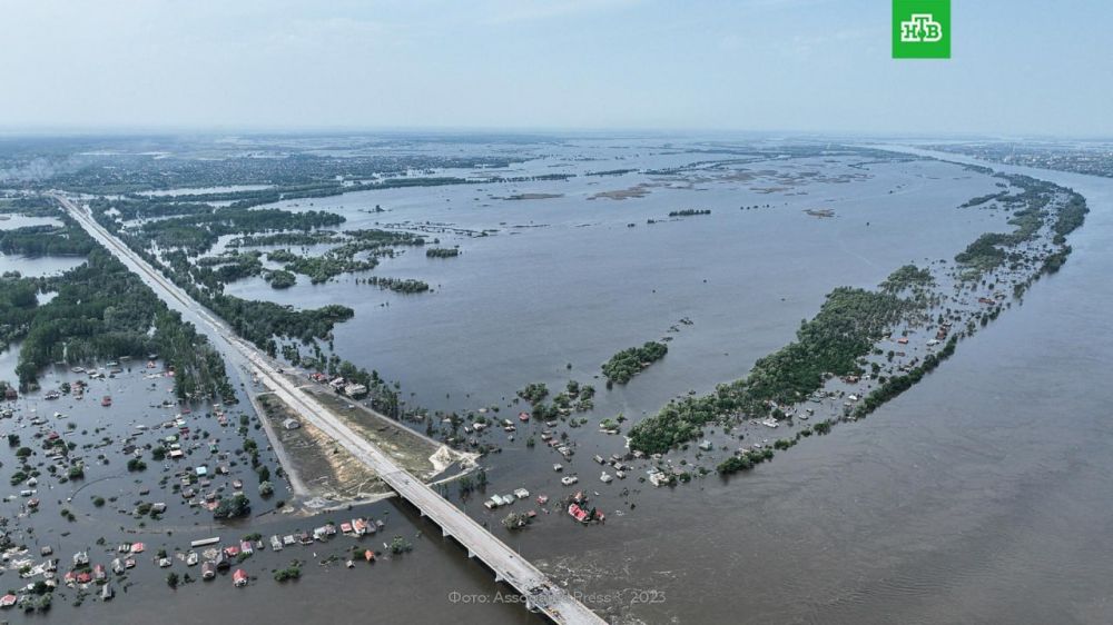 ����� ����� ������� ��������� ��� ����������� �� 50, �������� � ���������� �������