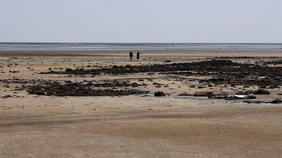 ����� �������� � ���������� ������� ��������� ��� ������� �� 50 �������