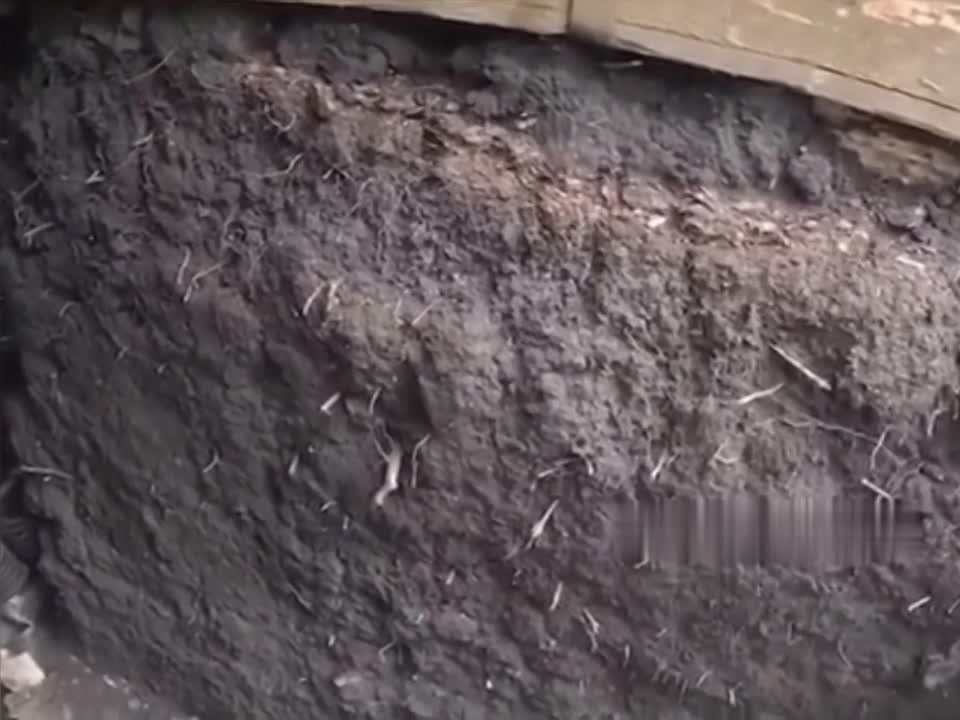 "����� �����������������..." ��������� ��������� ������� ���������� ���������� � ������ ���� ����������