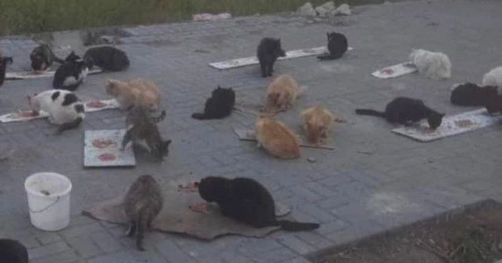 ���������� � ������� ���������� ��������� �����