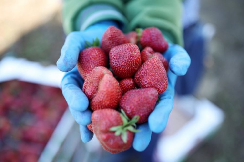 ������� ��������: ���� ���� ������ ����� � ��������� �� ���������� � ����������� �������� � ������ ��������� � ��������� ��� ����������� � ������, �����-���������, ������-��-����, ���� � ������ ��������, ����� ���� �������� �����, ����, �������� � ����