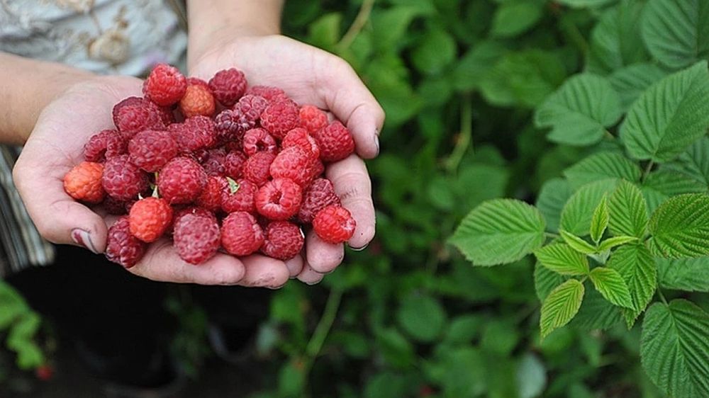 ������� ������ ������� ������� �������� ��������� �� ����� ��������