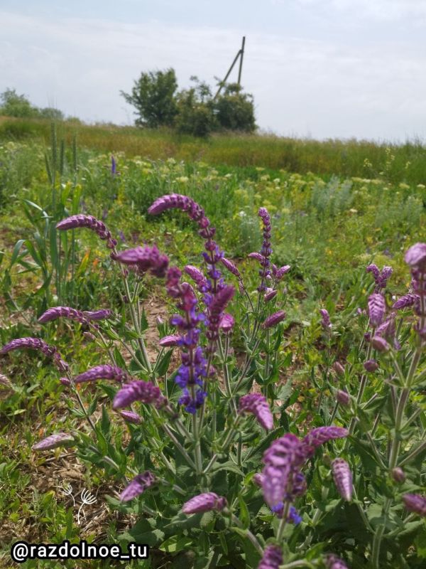 ������ ����,����������!. �� ��� � ����� ���������� ����� �