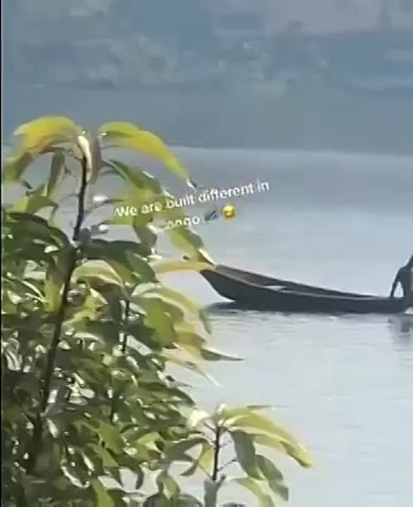 ��������� ����������,������,��������