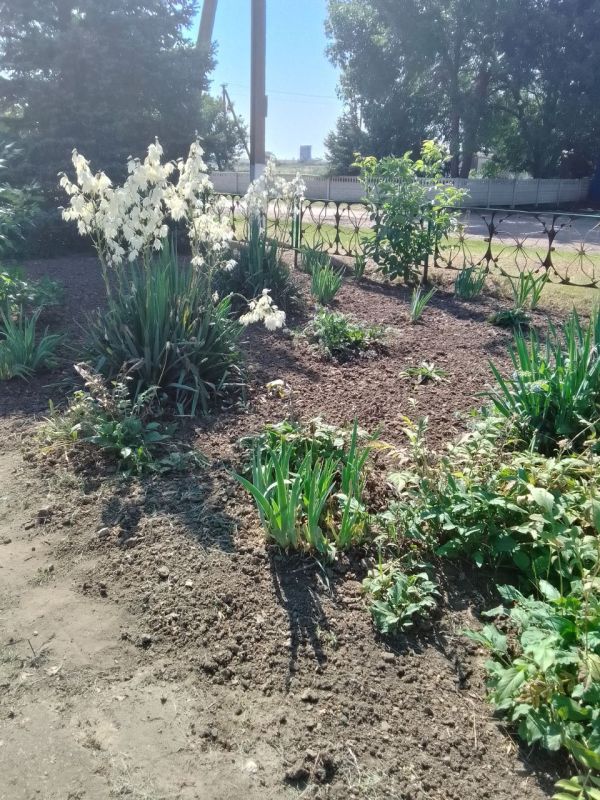 �������������� ����� ���������� �����������������